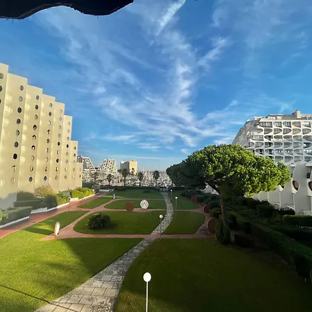 Apartment Lumineux Avec Terrasse Et Parking Prive, A 600m De La - Fr-1-716-76